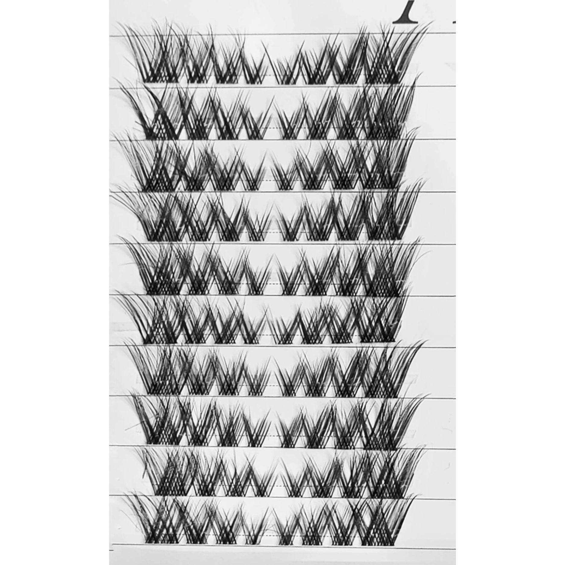 DIY Lash Extension Kit | Cat Eye | Premium