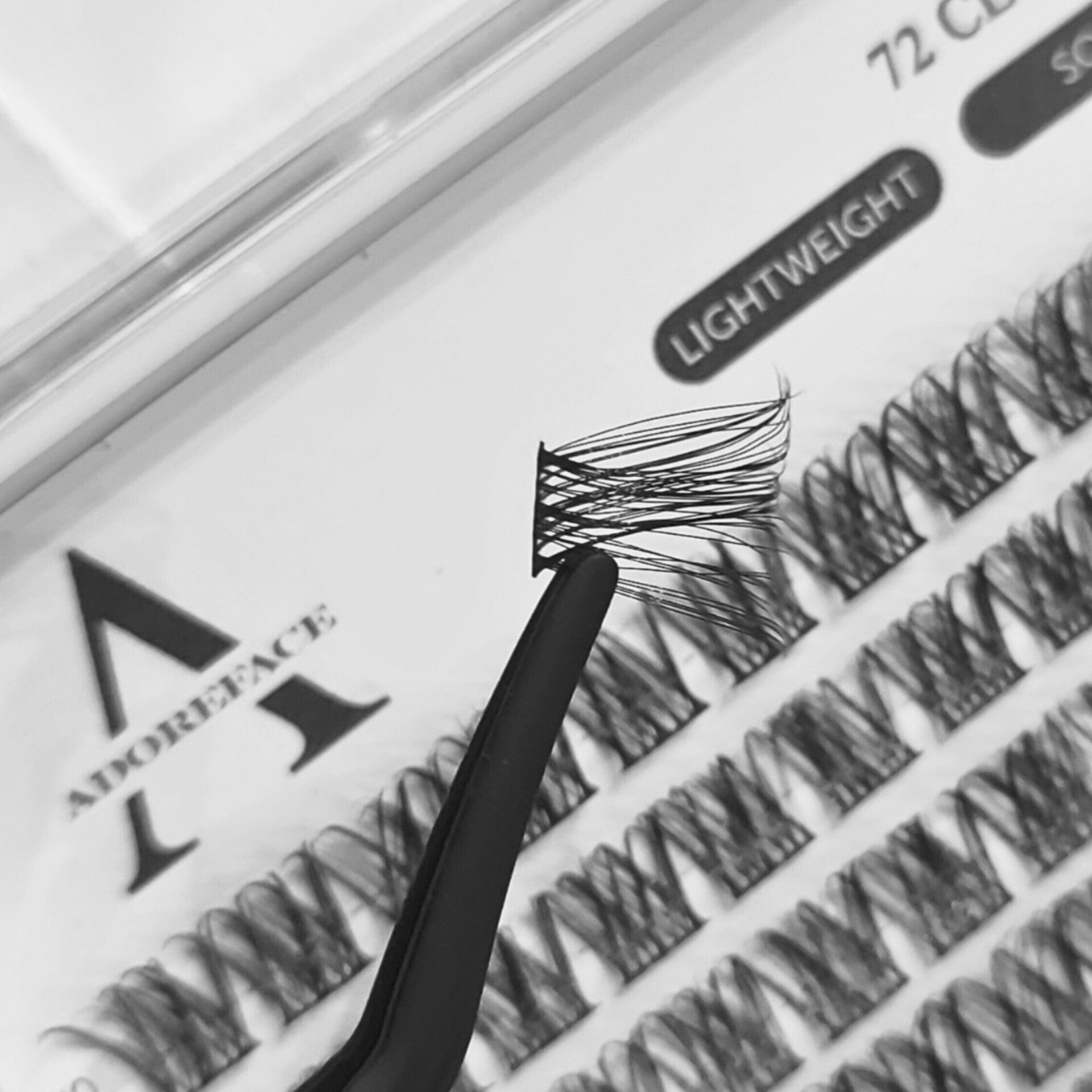 DIY Lash Extension Kit | Basic