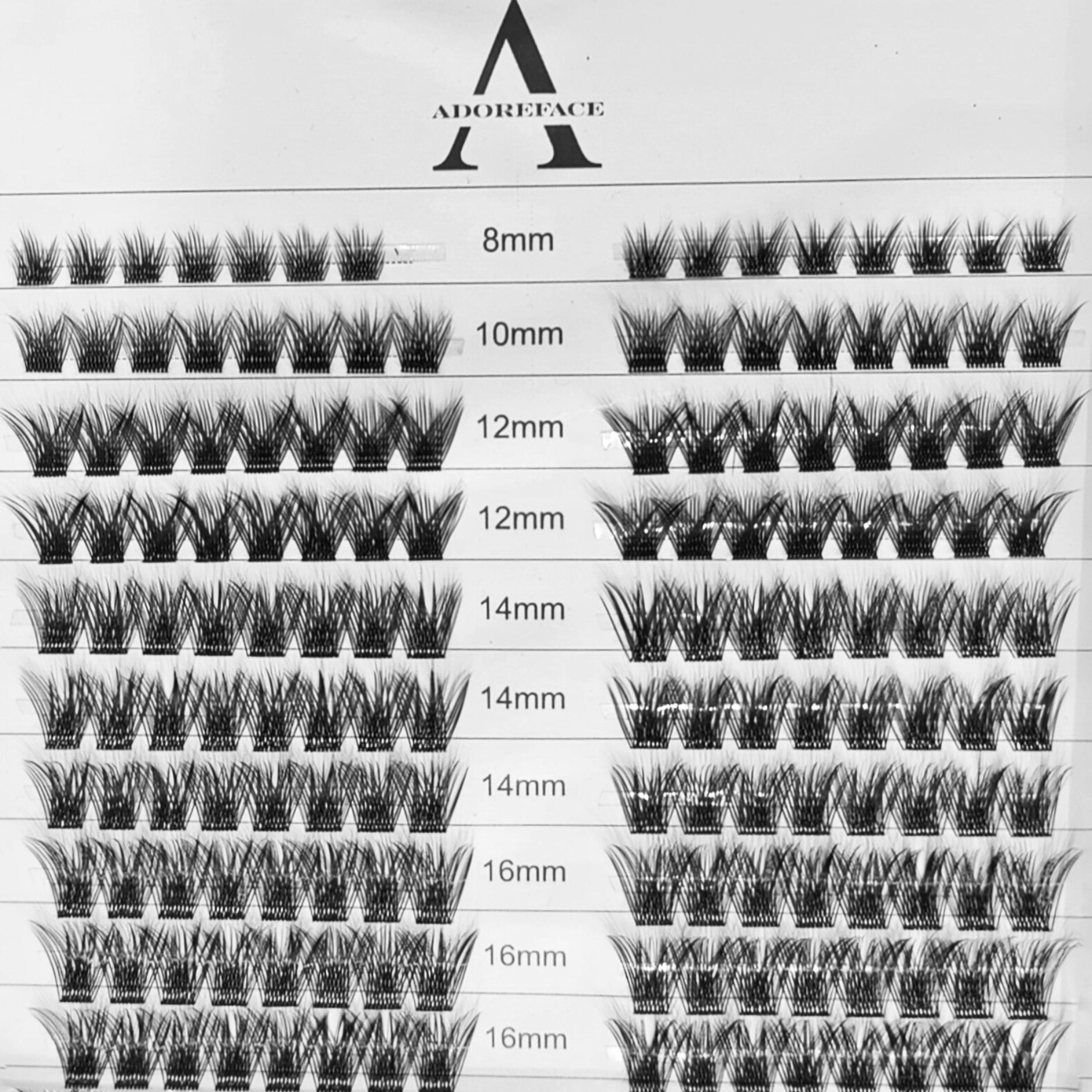 DIY Lash Extension Kit | Hybrid | Premium